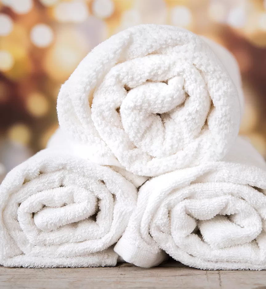 Dệt may gia dụng